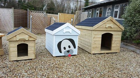 Tongue and groove TGV dog kennel by Abwood