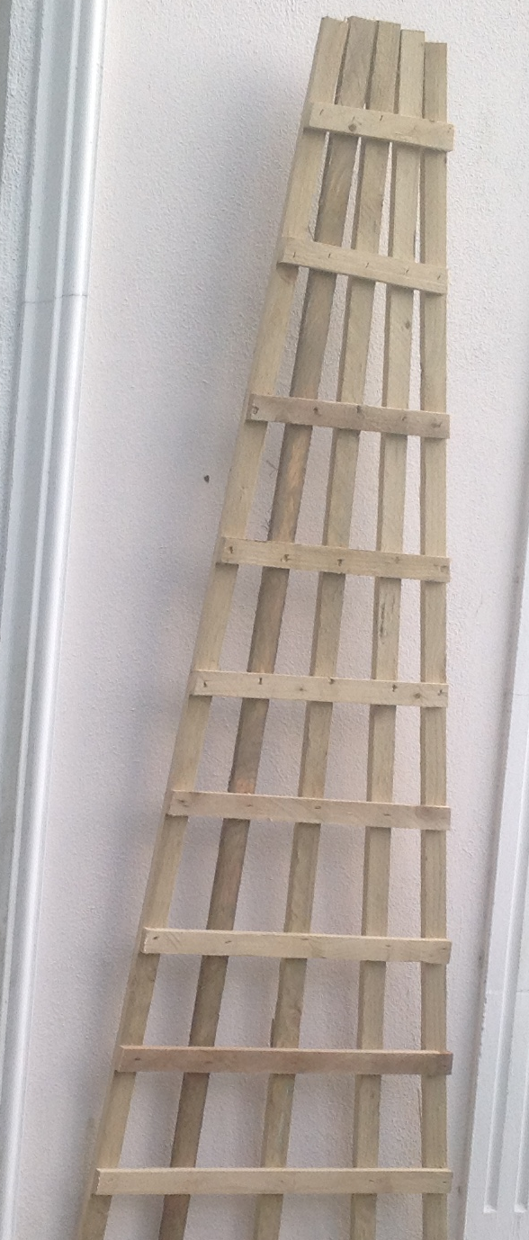 Wooden fan trellis by Abwood