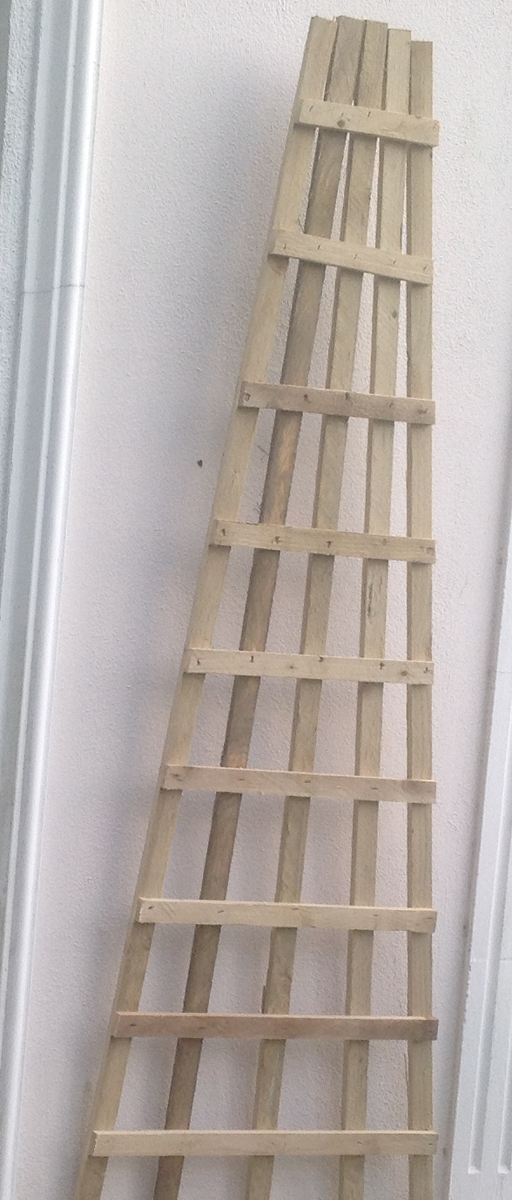 Wooden fan trellis by Abwood