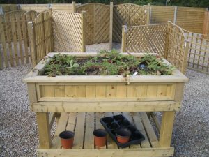 Raised beds for vegetables and flowers