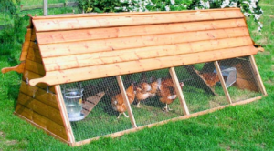 Hen Arks