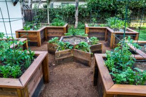 Bespoke vegetable and garden planters