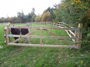Wooden field gate
