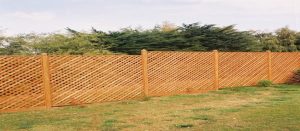 Trellis Fencing