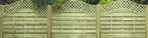 Trellis Fencing